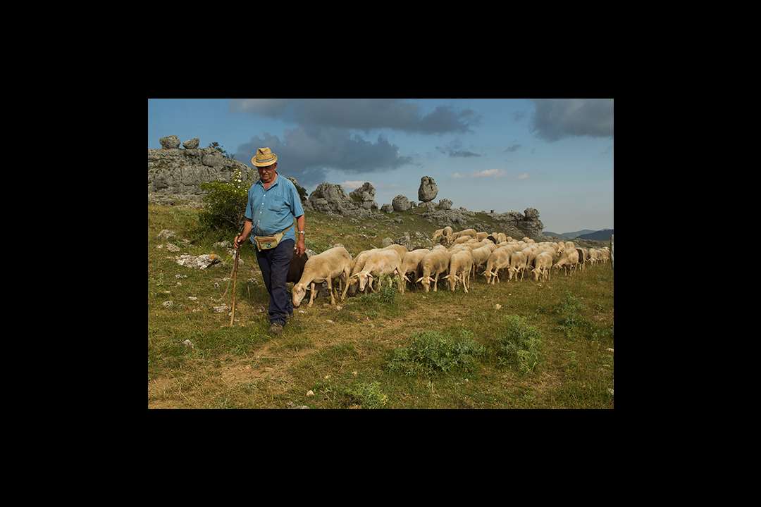 Pastoralisme Pastoralisme